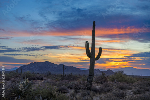 2023 Arizona Desert Heat Wave Sunrise Landscape In Scottsdale