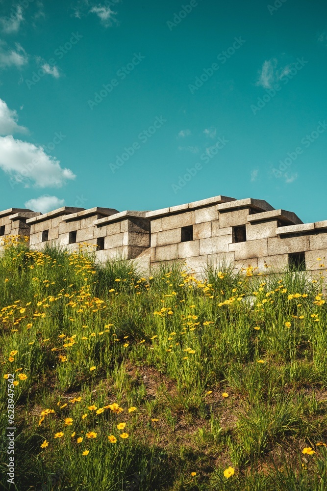 Stunning backdrop of wildflowers against the traditional stone wall. Stunning backdrop of wildflowers against the traditional stone wall.