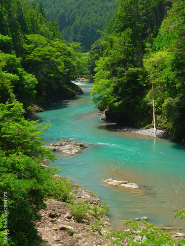 綺麗な色をした川