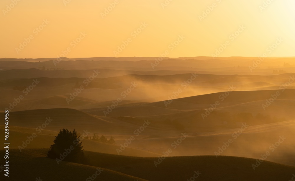 a sun is rising above an expansive hilly area as trees are silhouetted in the
