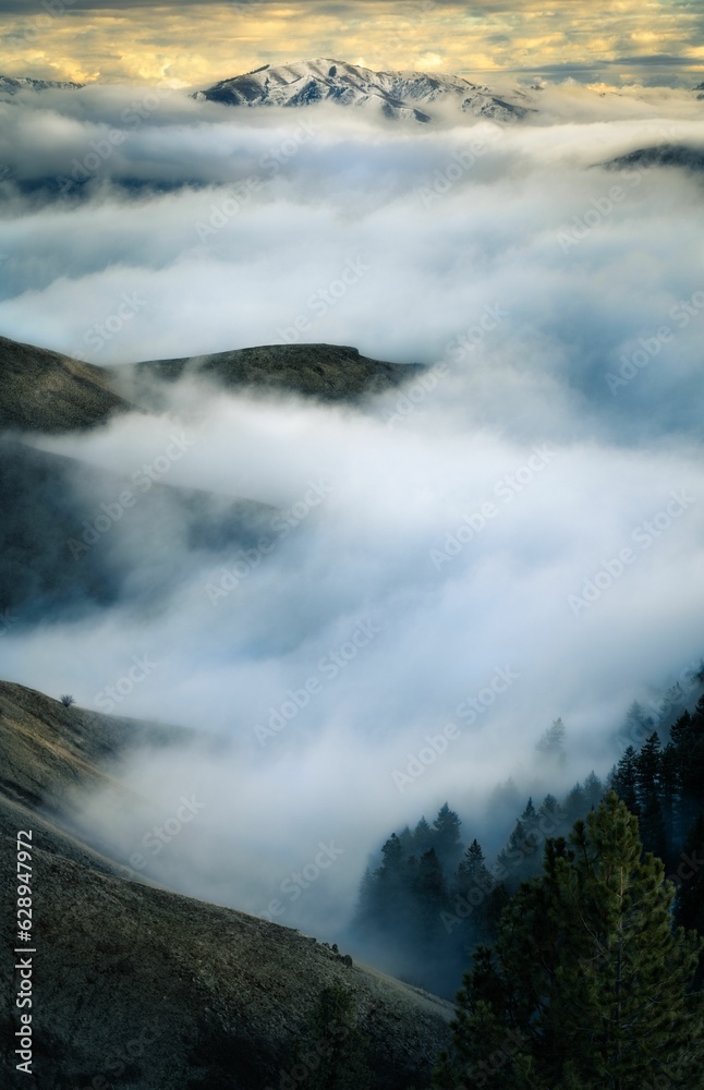 a mountain peak with a sea of clouds and trees at sunset