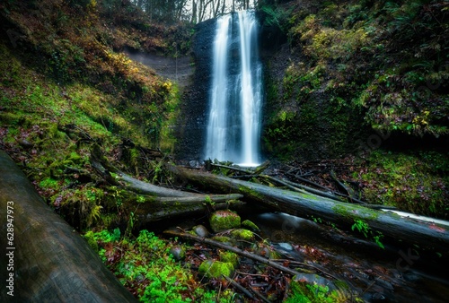 Photography waterfall and fallen trees in the forest during the day with fog