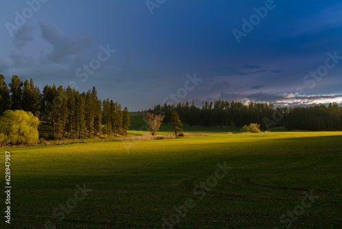 an empty field with green grass and trees in the background