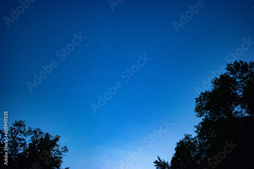 Trees in the night against the background of the starry sky