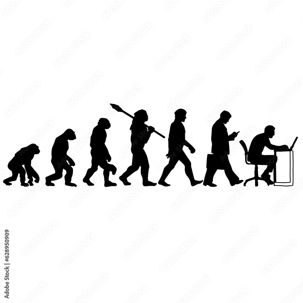 human evoluion