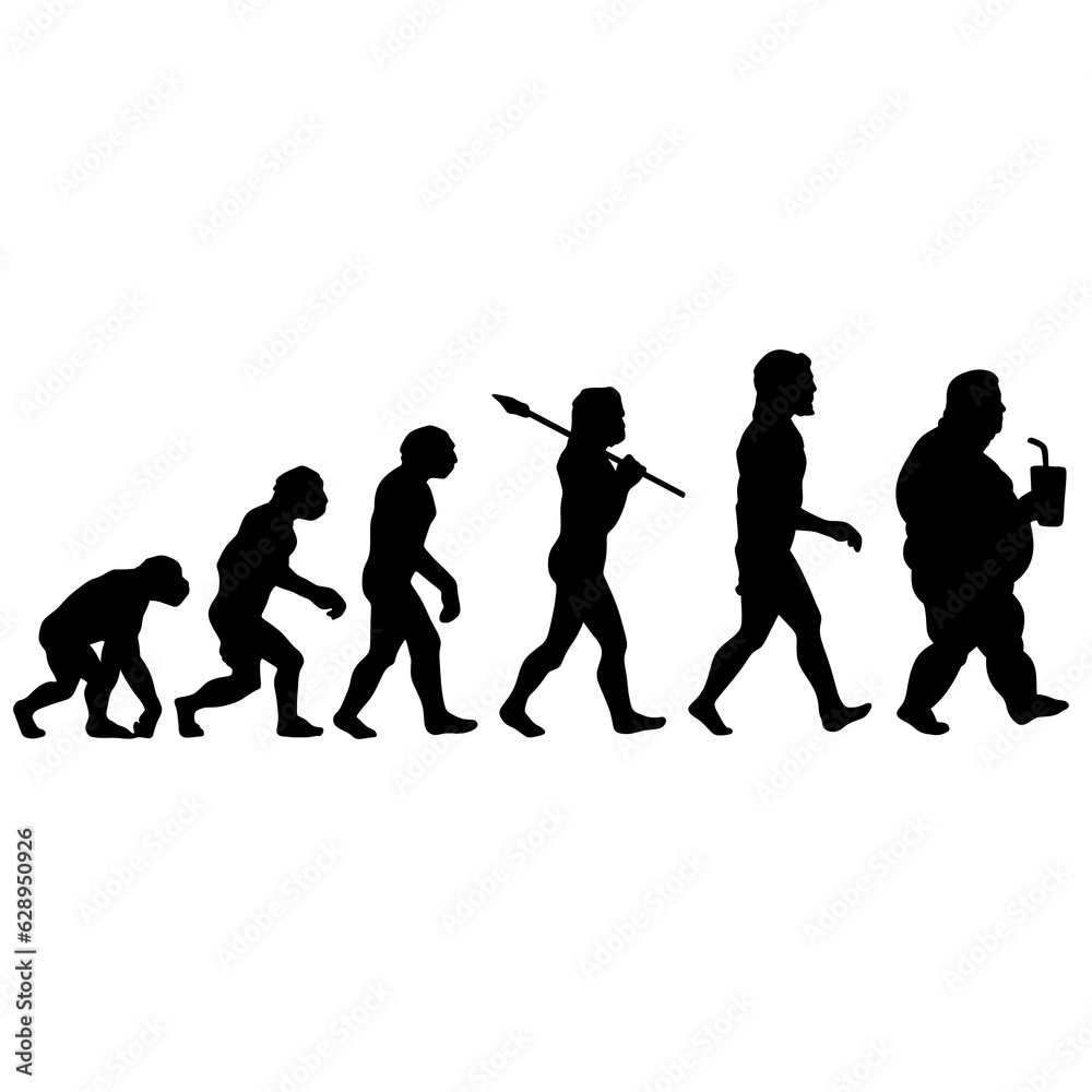 human evoluion