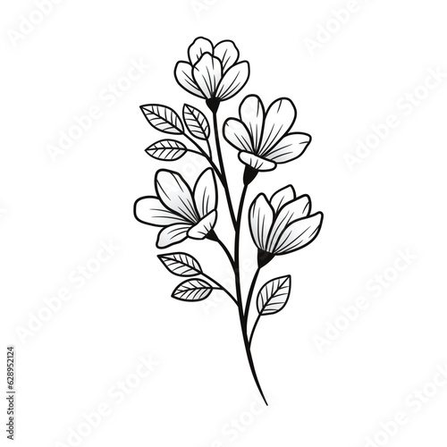 Vector of flower on white background