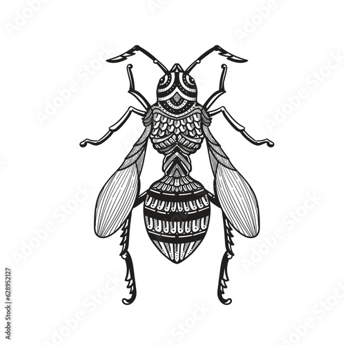 Vector of bee on white background