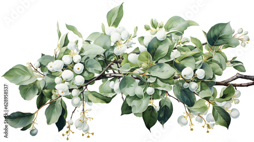 colorful christmas floral arrangement in watercolor clipart design isolated against transparent background