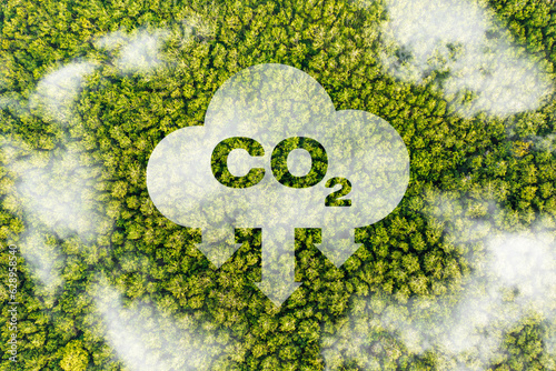 Fotografie Concept depicting the issue of carbon dioxide emissions and its impact on nature in the form of a pond in the shape of a co2 symbol located in a lush forest