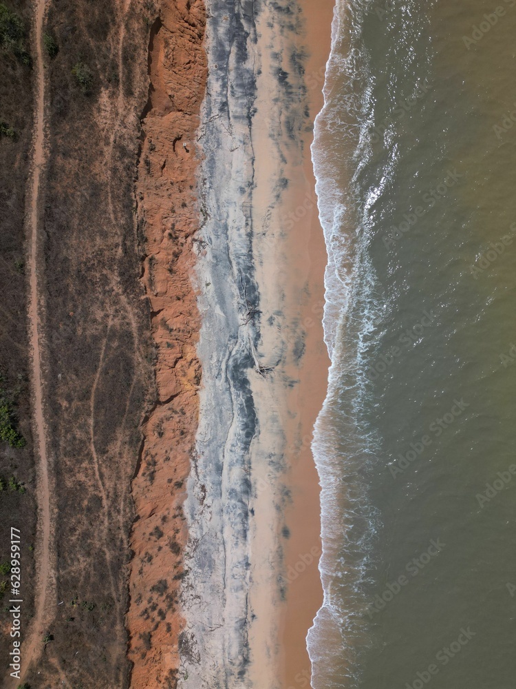 Aerial view of a beach covered in greenery on a sunny day Aerial view of a beach covered in greenery on a sunny day
