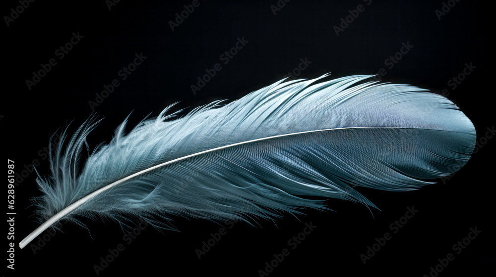He observes a bird with colorful feathers. He observes a bird with colorful feathers.