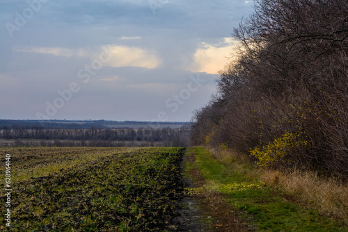 road in the field