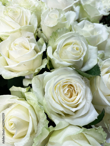 Blossoming lush buds of white roses with green leaves collected in one bouquet, close-up, top view. Present. Sign of attention.