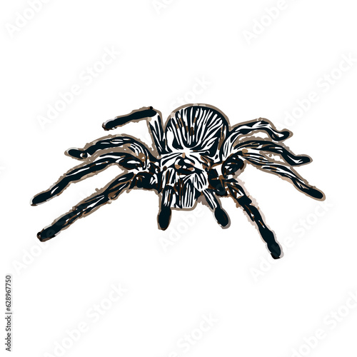 Color sketch of spider with transparent background