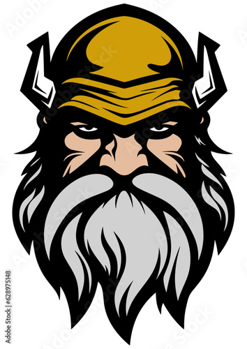 Vector head of a fantasy dwarf, viking mascot illustration
