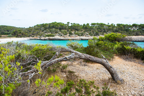 Beautiful sunset beach landscape  exotic tropical island nature  blue sea water  ocean waves  colorful red yellow sky  summer holidays vacation in Mallorca  Spain