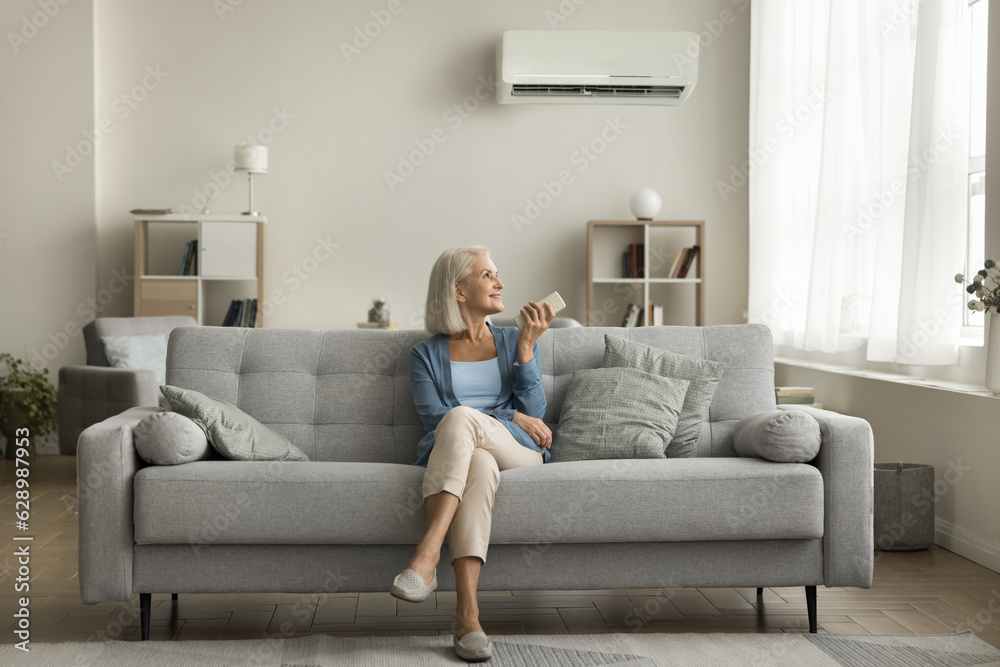 Positive relaxed senior lady using remote control for turning AC on, starting cooling domestic equipment, relaxing on comfortable home couch in cozy modern apartment interior Positive relaxed senior lady using remote control for turning AC on, starting cooling domestic equipment, relaxing on comfortable home couch in cozy modern apartment interior