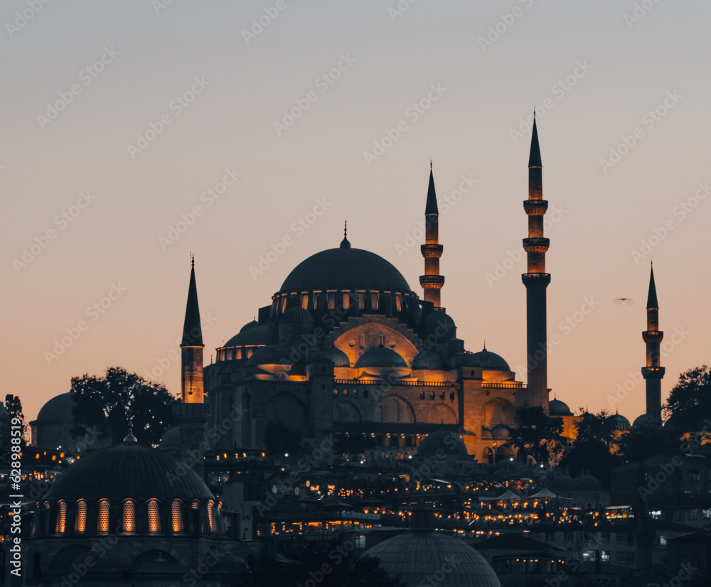 Fototapeta premium Süleymaniye Mosque in İstanbul