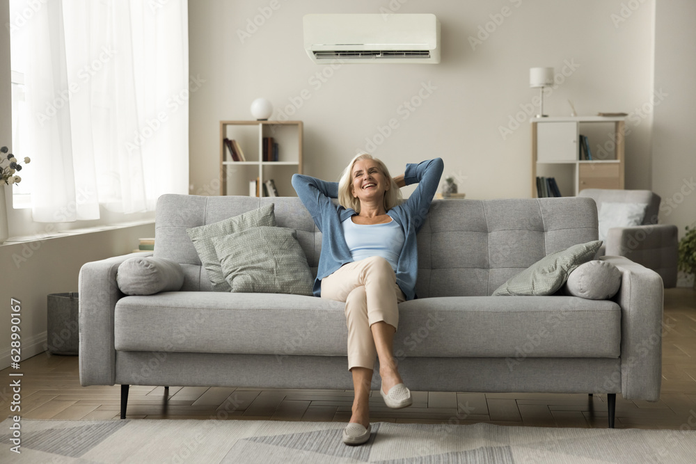 Cheerful relaxed retired old woman resting on grey soft couch under domestic conditioner in stylish cozy apartment interior, breathing cool fresh air, cold comfortable temperature in living room Cheerful relaxed retired old woman resting on grey soft couch under domestic conditioner in stylish cozy apartment interior, breathing cool fresh air, cold comfortable temperature in living room