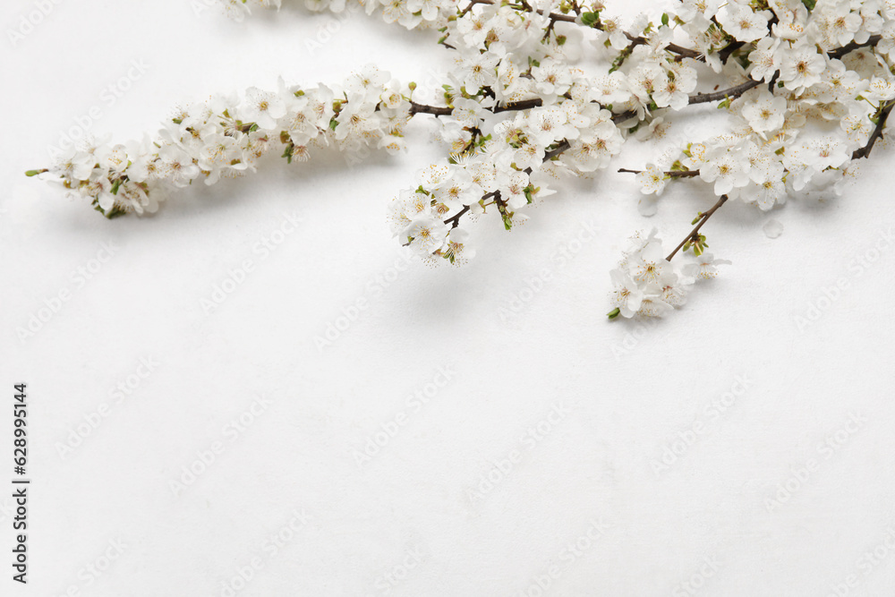 Blooming branches on white background Blooming branches on white background
