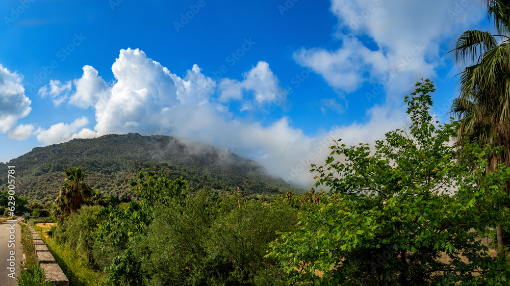 Between Valldemossa and Deia on the Island of Mallorca, a road under clouds with palm trees and mountains, Serra de Tramuntana Mountains, Cloudy but blue sky and a beautiful summer day, travel vibes 
