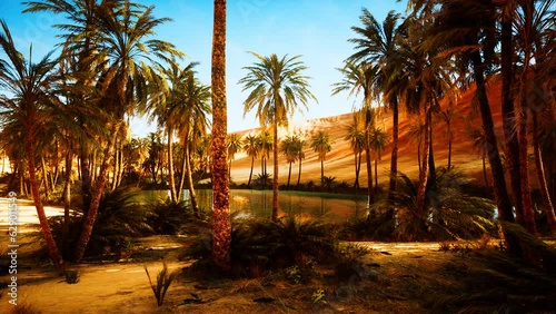 oasis with palm trees in desert photo