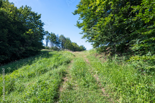 Landscape of Erul mountain near Kamenititsa peak, Bulgaria