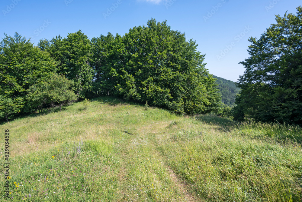 Landscape of Erul mountain near Kamenititsa peak, Bulgaria