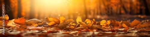 Autumn leaves on the ground in the forest, panoramic banner. Falling Autumn leaves before sunset.