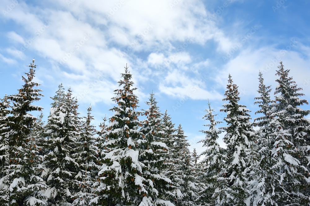 Scenic landscape with fir forest and blue sky of the european Alps in winter. Snowy day in the mountains Scenic landscape with fir forest and blue sky of the european Alps in winter. Snowy day in the mountains