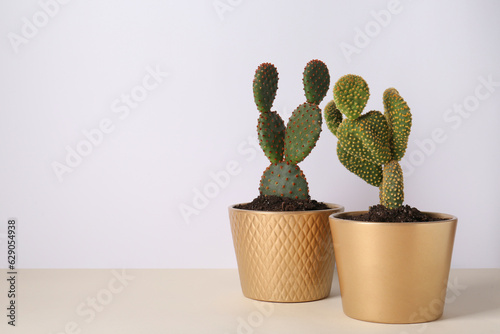 Beautiful cacti in pots on beige table, space for text