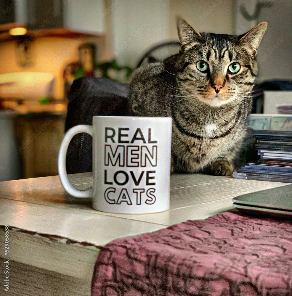 Naklejka premium Coffee and Cat