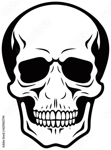 Human skull