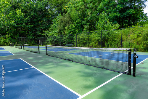 Wallpaper Mural Example image of an empty pickleball court with multi-color surface and white lines.	 Torontodigital.ca