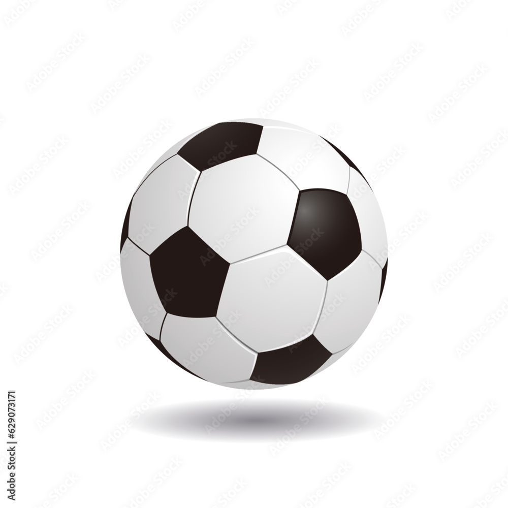 Fototapeta premium Soccer ball isolated on white background. Leather football ball vector.