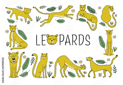 Cute yellow leopard. Nice animal character for various prints and designs. Ve...