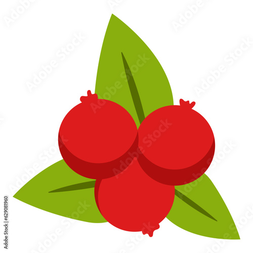 Cowberry thanksgiving graphic vector element illustration