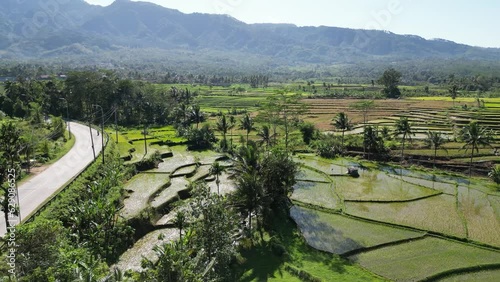 Rice Field Aerial Shot in Purwokerto, Indonesia. Beautiful 4K aerial view of terraced rice fields in village rice terraces. local natural attractions. photo