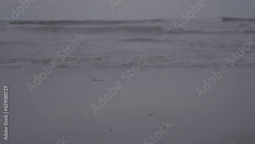Sea waves at Versova beach Mumbai at an overcast evening (log files) photo