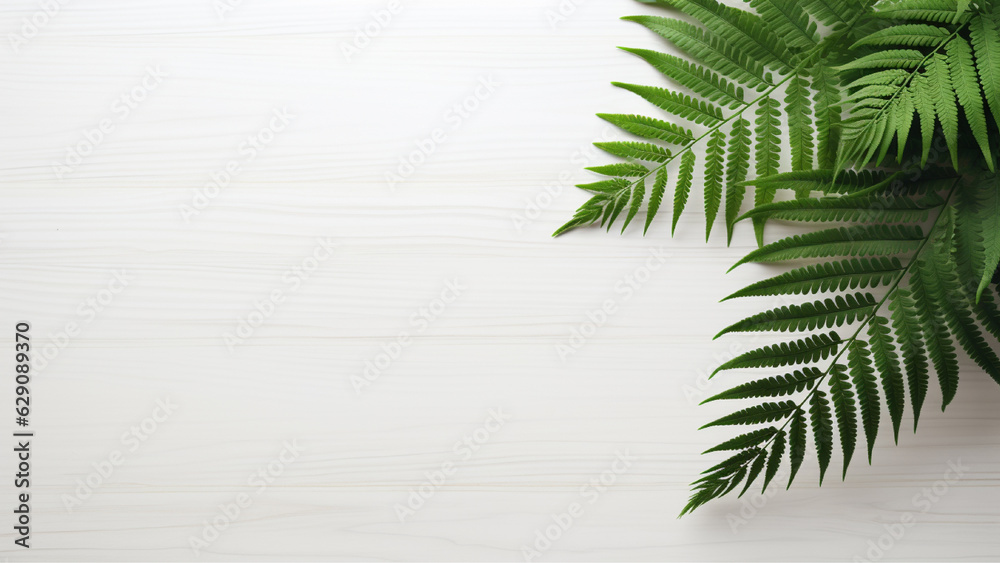 Top View White Table Workspace with Green Fern Leaves