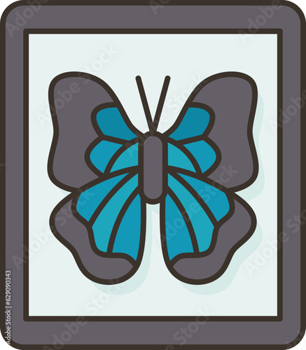 butterfly  icon