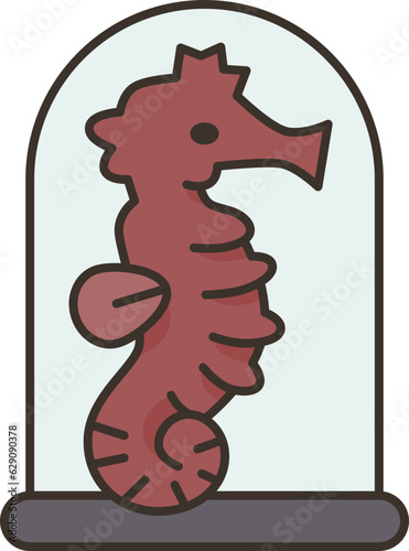 seahorse  icon