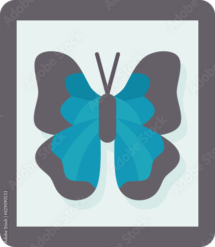 butterfly  icon