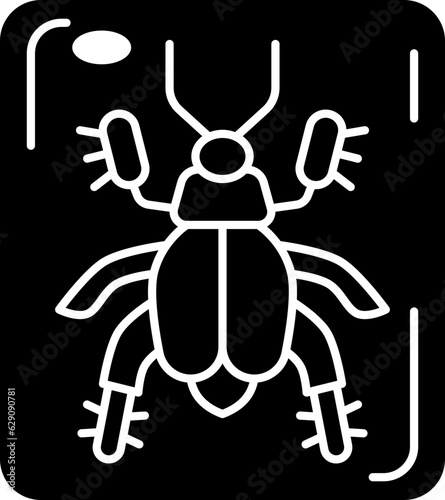 beetle  icon