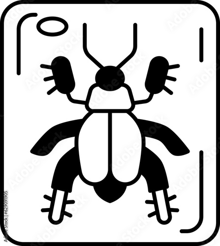 beetle  icon