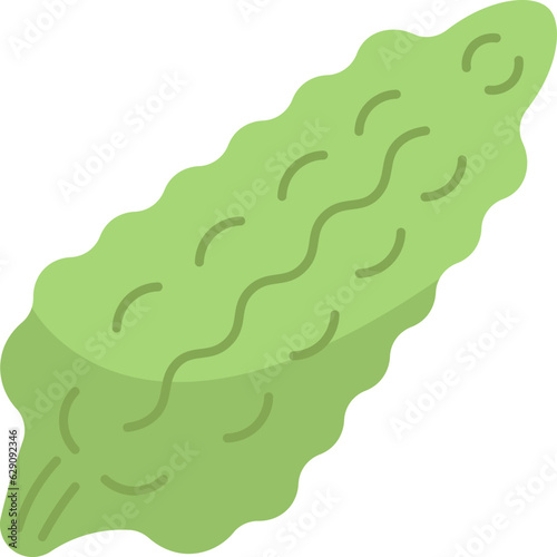 melon  icon