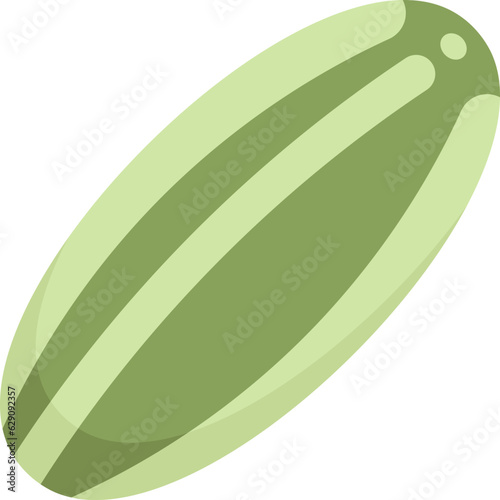 melon  icon