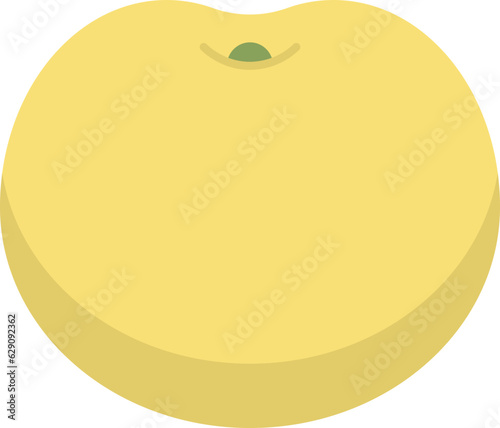 melon  icon
