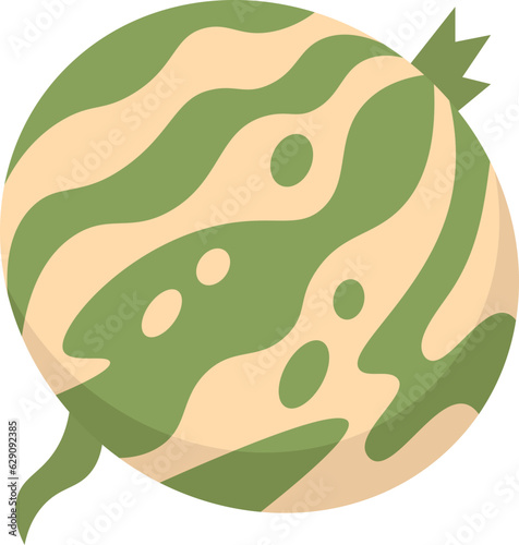 melon  icon